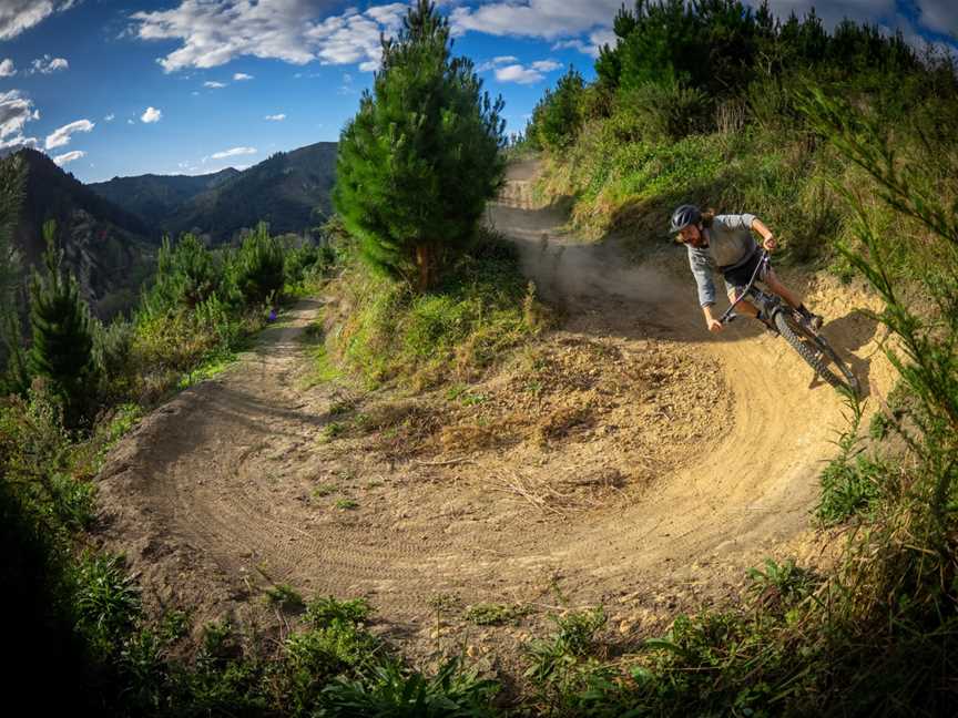 That Place - Mountain Bike Park, Whanganui, New Zealand