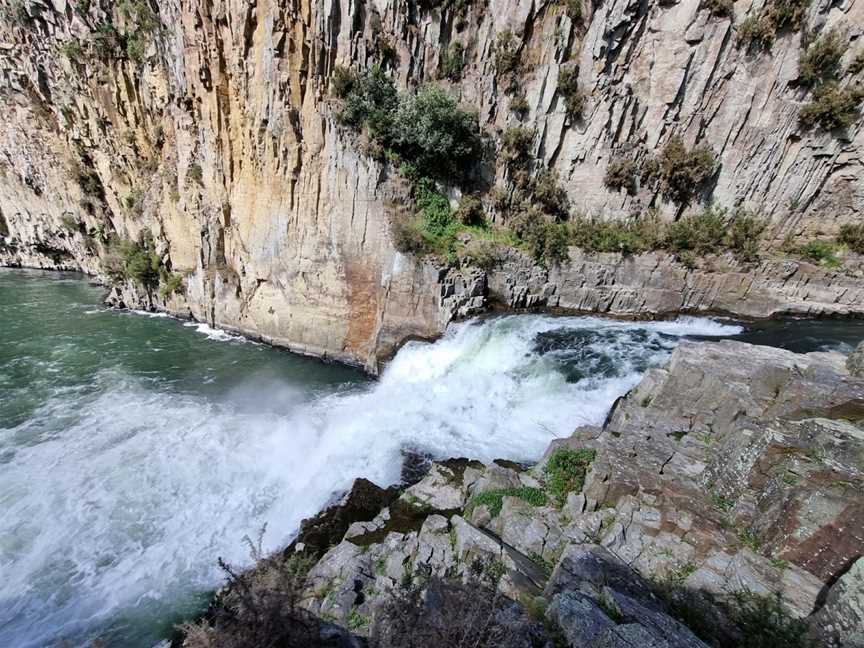 Aniwhenua Falls, Waiohau, New Zealand