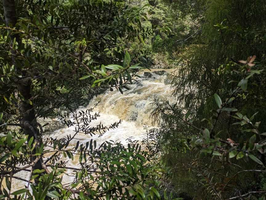 Taheke Waterfalls, Whangarei, New Zealand