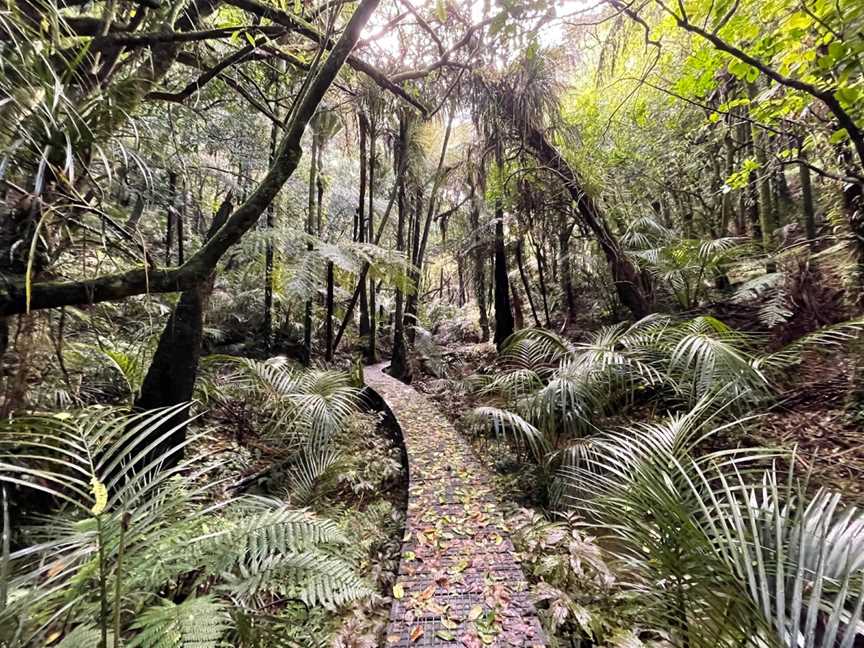 Taheke Waterfalls, Whangarei, New Zealand