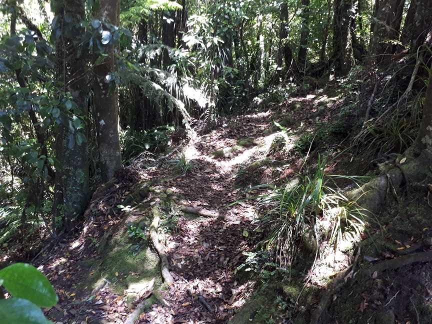 Mangamuka Summit, Kaitaia, New Zealand