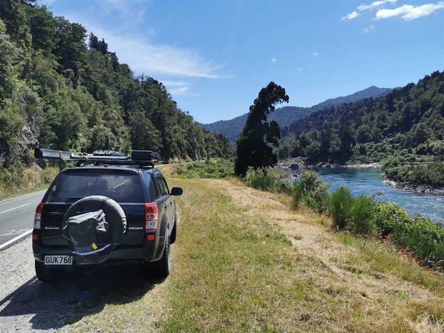 T-Rex Tree, Westport, New Zealand