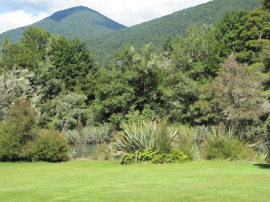 T-Rex Tree, Westport, New Zealand