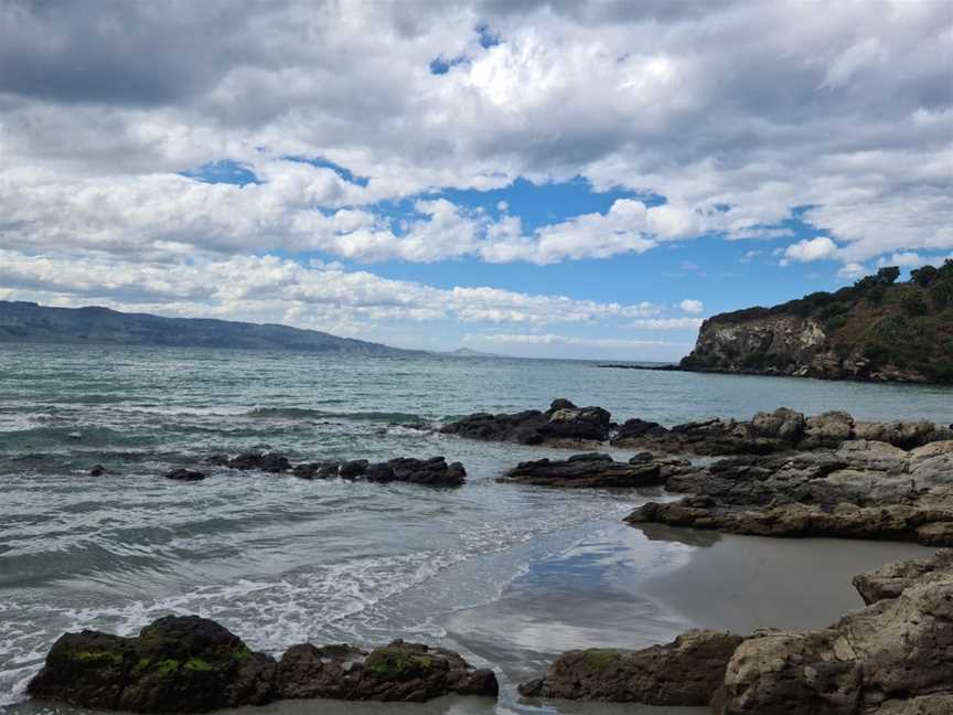 Mapoutahi Pa Site, Dunedin, New Zealand