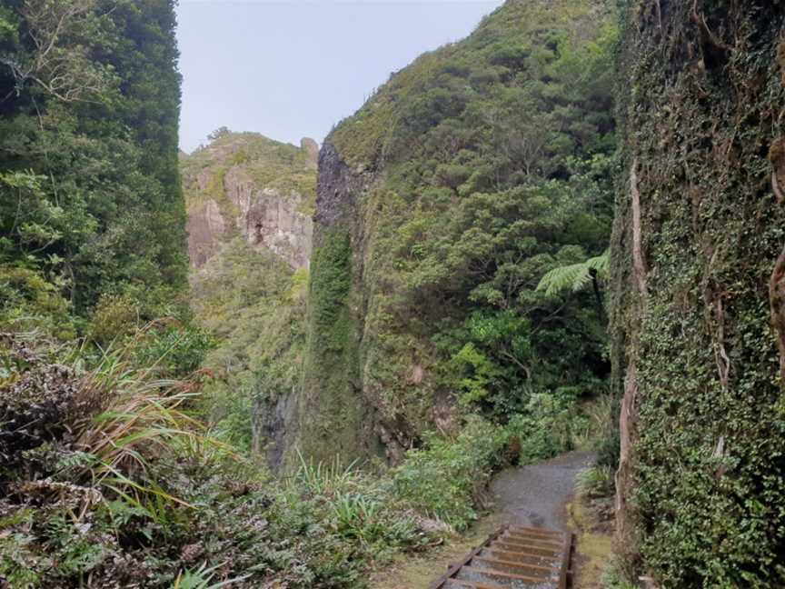 Windy Canyon Walk, Great Barrier Island, New Zealand