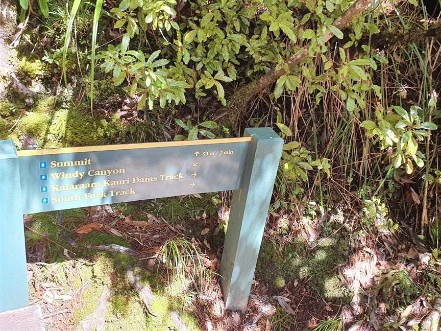 Windy Canyon Walk, Great Barrier Island, New Zealand