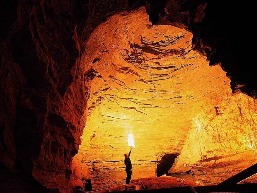 Footwhistle Glowworm Cave, Ohakea, New Zealand