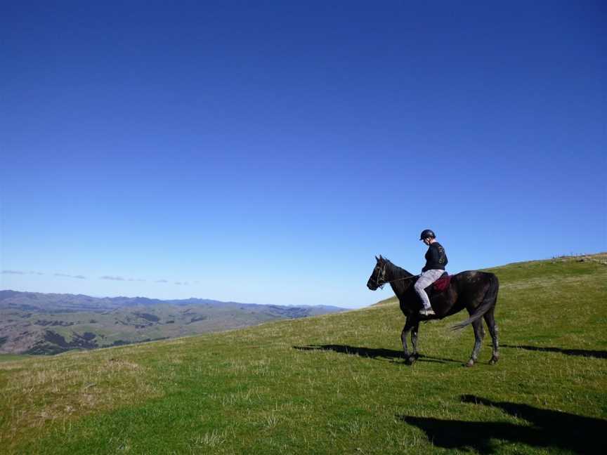 Gladstone horse treks, Masterton, New Zealand