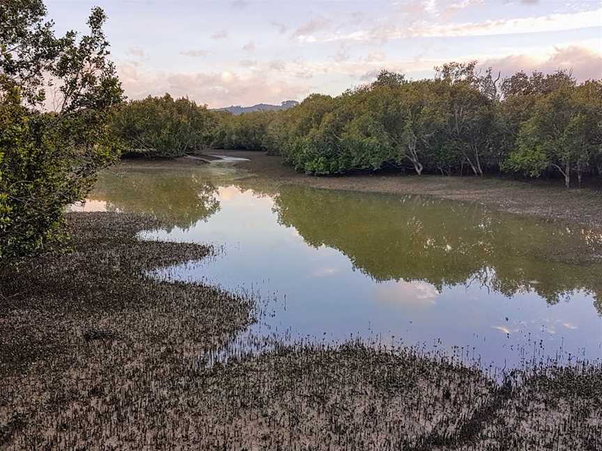 Rawene Mangrove Boardwalk, Rawene, New Zealand