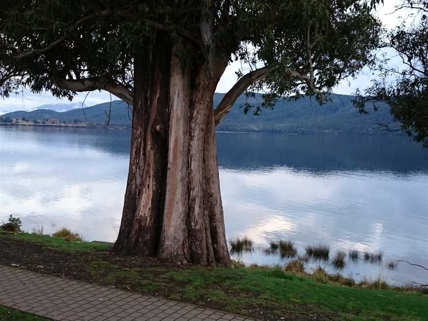 Great Walks, Te Anau, New Zealand