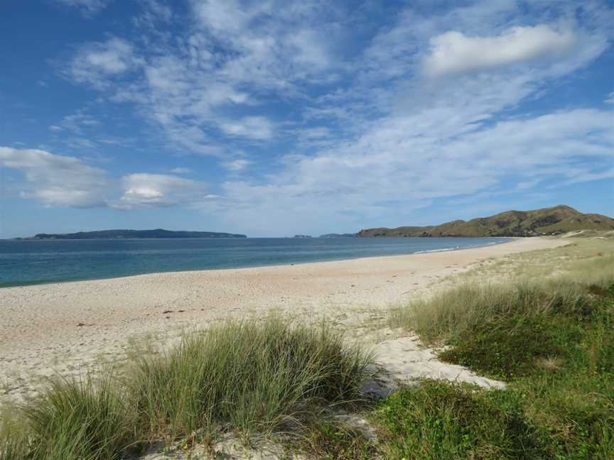 Stick in the sand, Mercury Bay, New Zealand