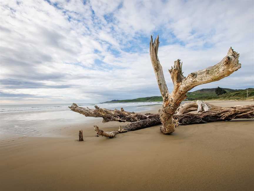 Kaka Point Beach, Kaka Point, New Zealand