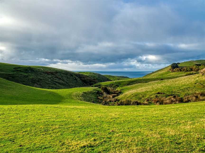 Kaka Point Beach, Kaka Point, New Zealand