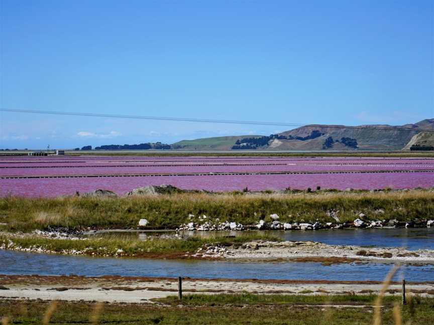 Saltworks, Marlborough, New Zealand