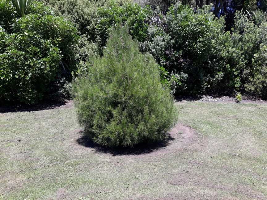 Manaia Redoubt, Manaia, New Zealand