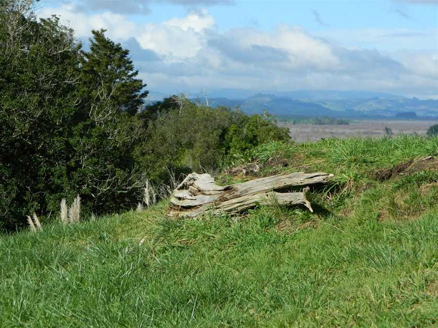 Whangamarino Redoubt, Mercer, New Zealand