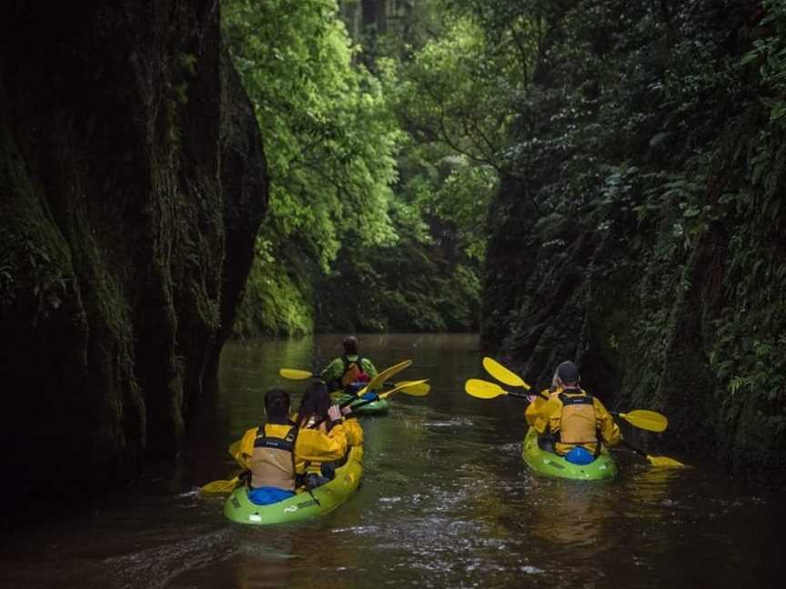 RAW Glow Worms, Piarere, New Zealand