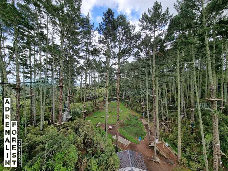 Adrenalin Forest Porirua, Bombay, New Zealand