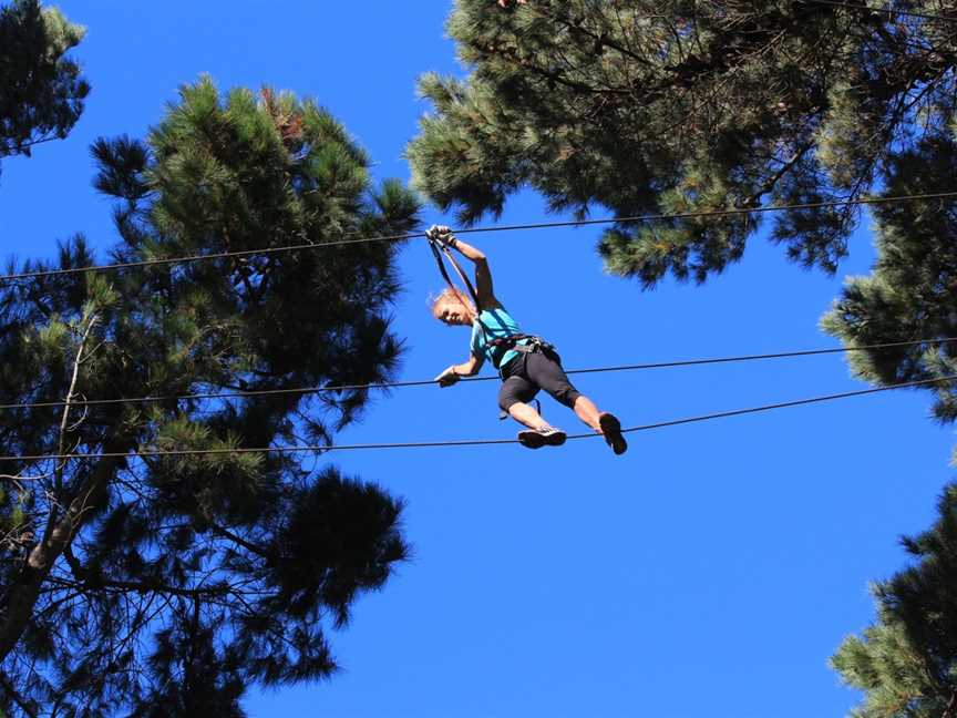 Adrenalin Forest Porirua, Bombay, New Zealand