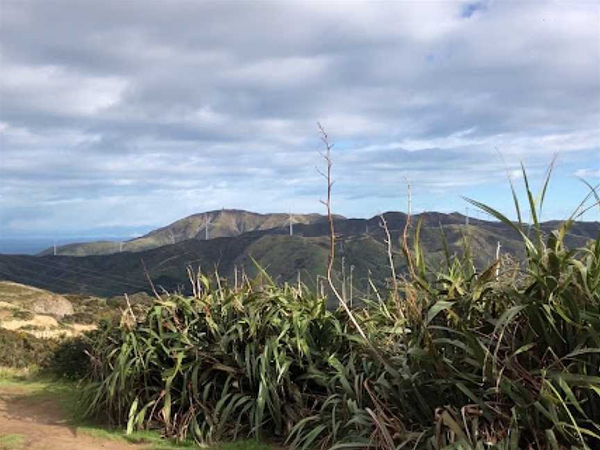 Makara Peak Mountain Bike Park, Karori, New Zealand