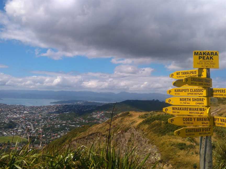 Makara Peak Mountain Bike Park, Karori, New Zealand