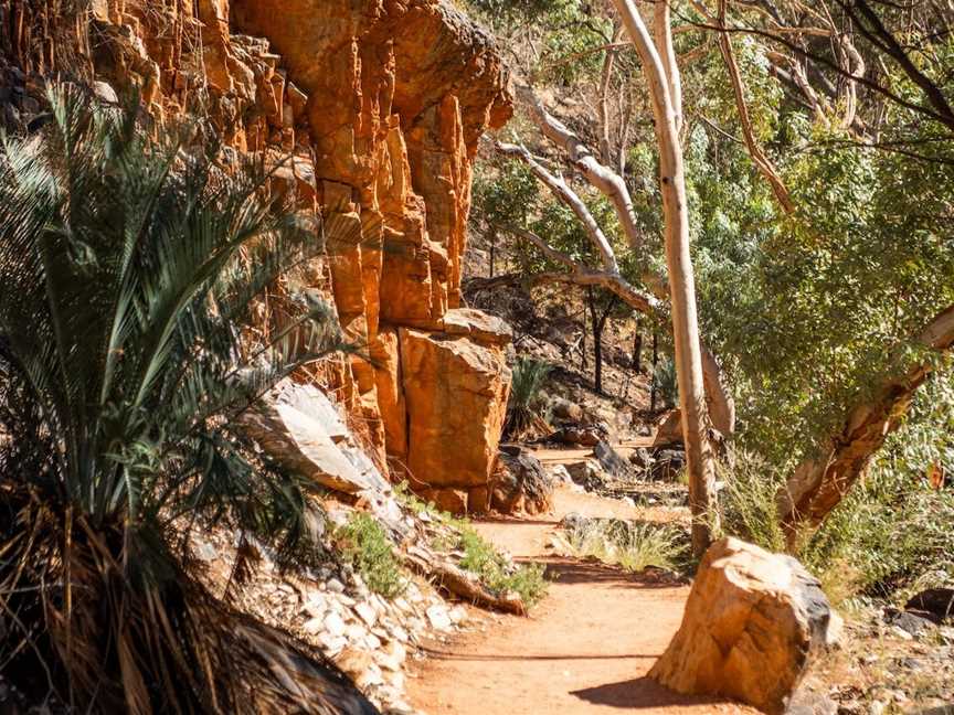 Standley Chasm – Angkerle  Atwatye, Hugh, NT