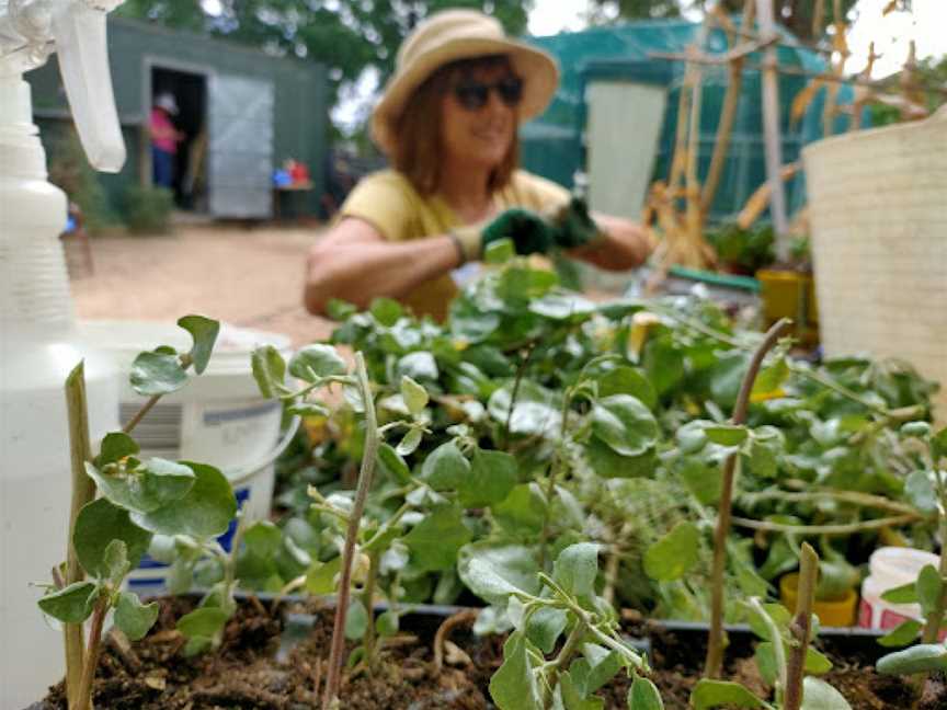 ErinEarth Garden, Turvey Park, NSW