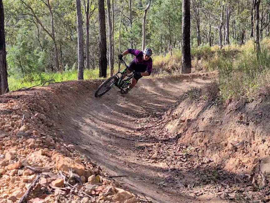 Atherton Forest Mountain Bike Park, Atherton, QLD