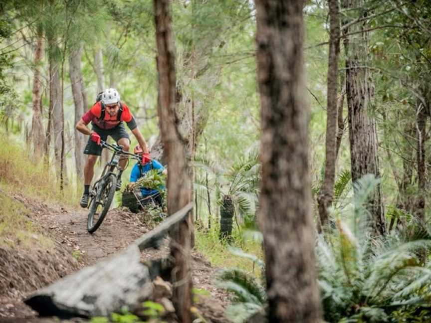 Atherton Forest Mountain Bike Park, Atherton, QLD