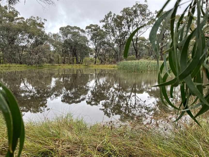 Fosters Lake, Glenrowan, VIC