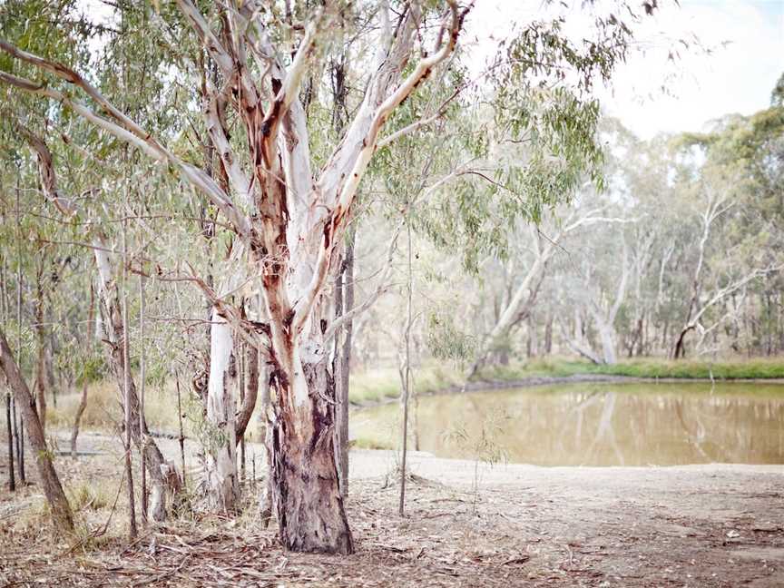 Fosters Lake, Glenrowan, VIC