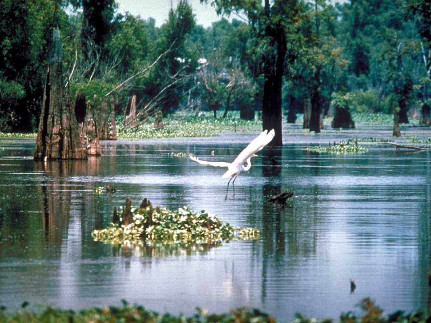 Serendip Sanctuary, Lara, VIC