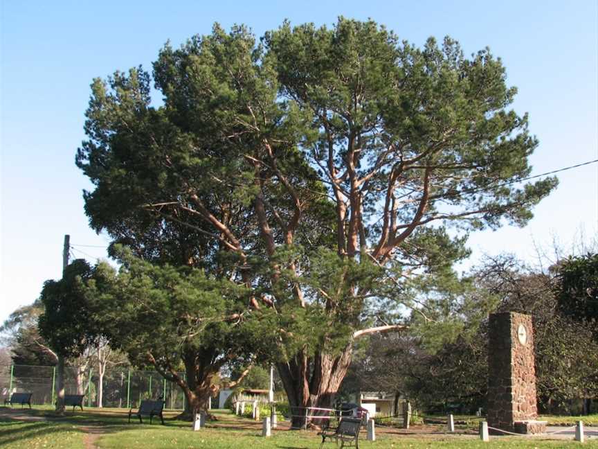 Wattle Park, Glenrowan, VIC