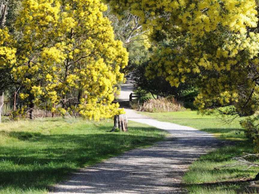 Wattle Park, Glenrowan, VIC