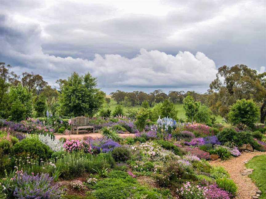 Patina Wines Garden, Dromana, VIC