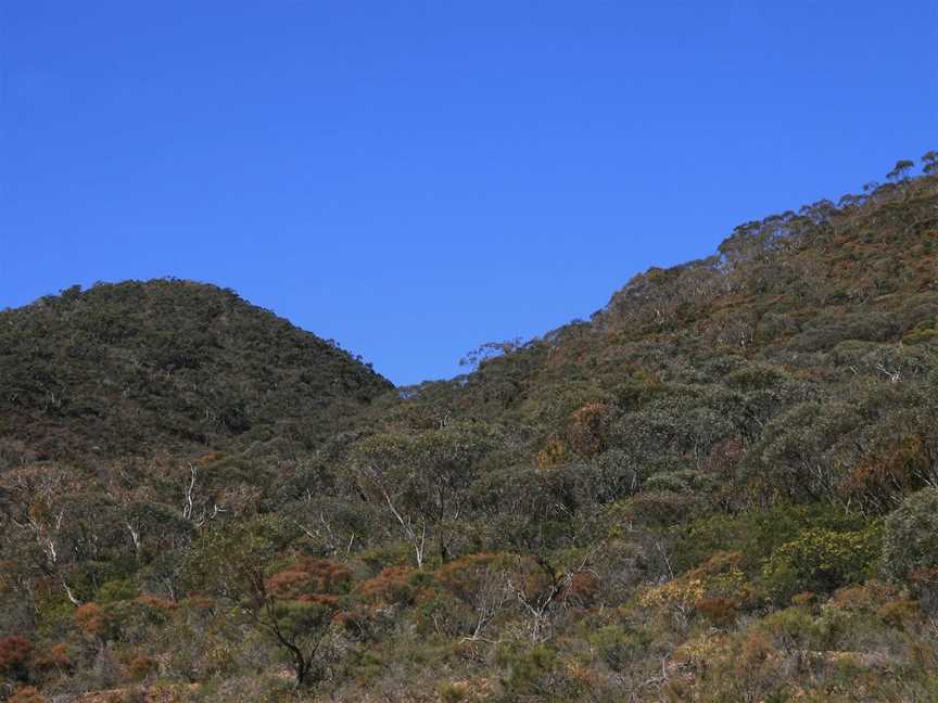 Black Hill Conservation Park, Adelaide, SA