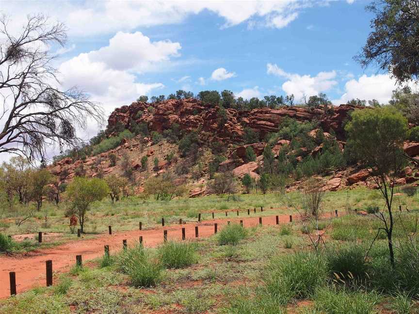 Native Gap Conservation Reserve, Alice Springs, NT