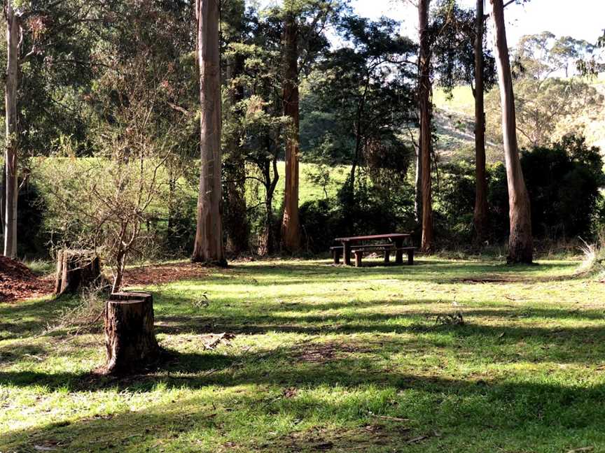 Agnes Falls Scenic Reserve, Hazel Park, VIC