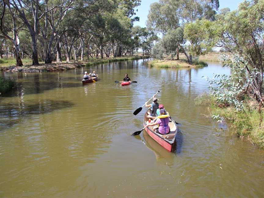 Wetlands of Wyalong, Wyalong, NSW