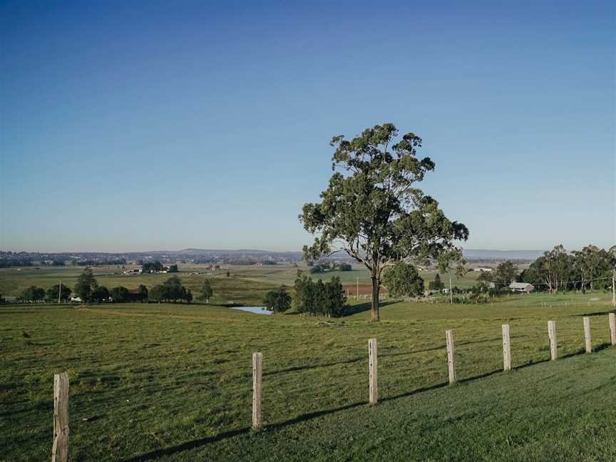 Bolwarra Heights Lookout, Bolwarra Heights, NSW