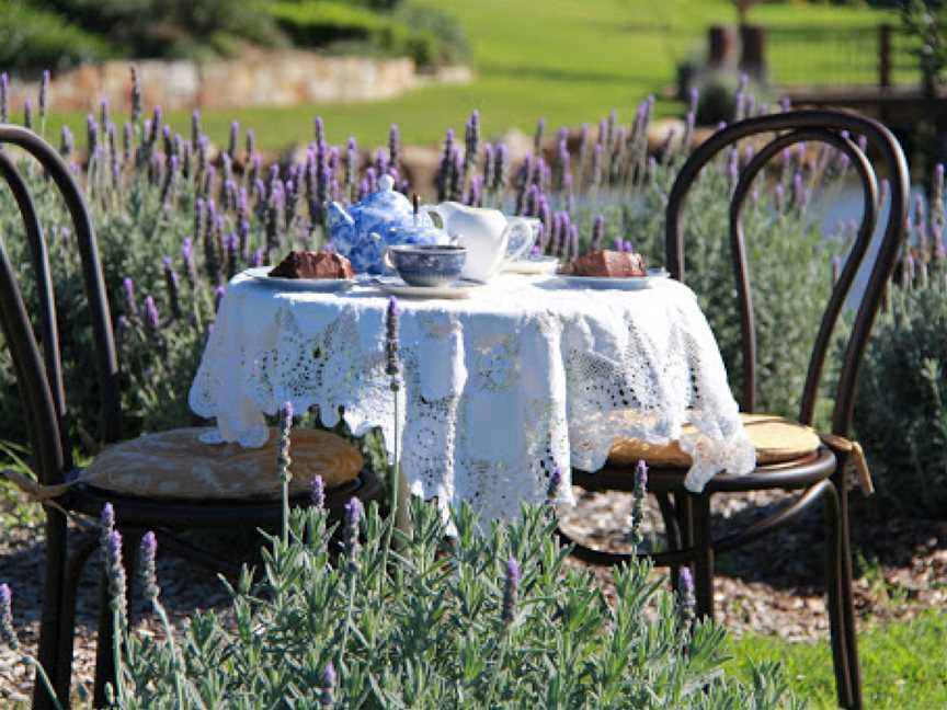 The Bath House Garden, Oakhampton Heights, NSW