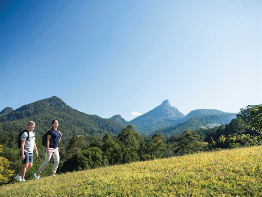 Northern Rivers Rail Trail, South Murwillumbah, NSW