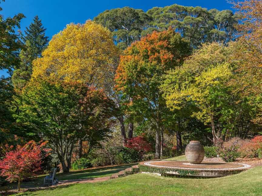 Windyridge Garden Mount Wilson, Mount Wilson, NSW