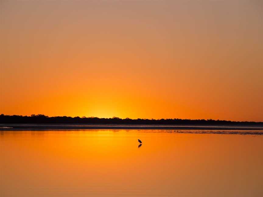 Birdwatching on the Fraser Coast, Hervey Bay, QLD