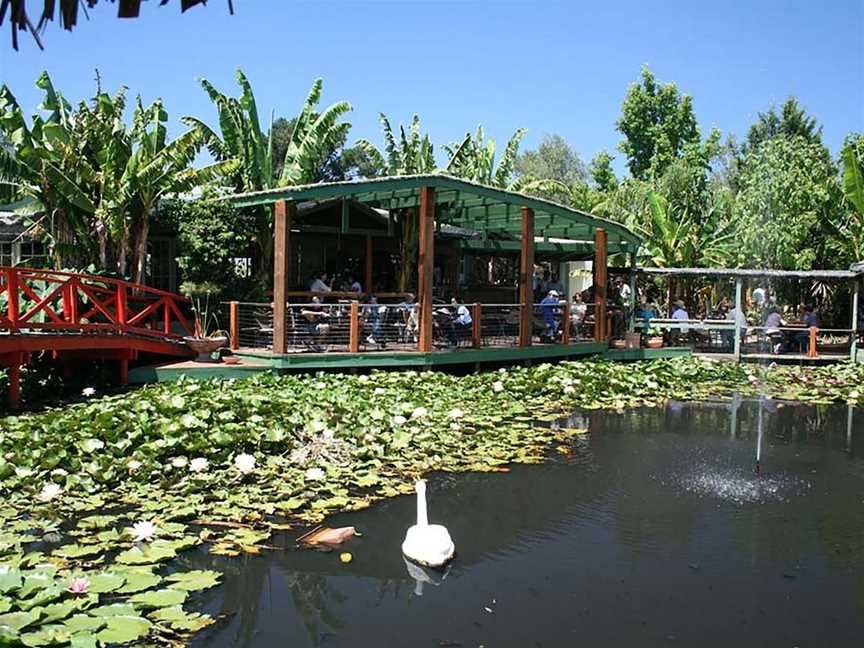 Blue Lotus Water Garden, Yarra Junction, VIC