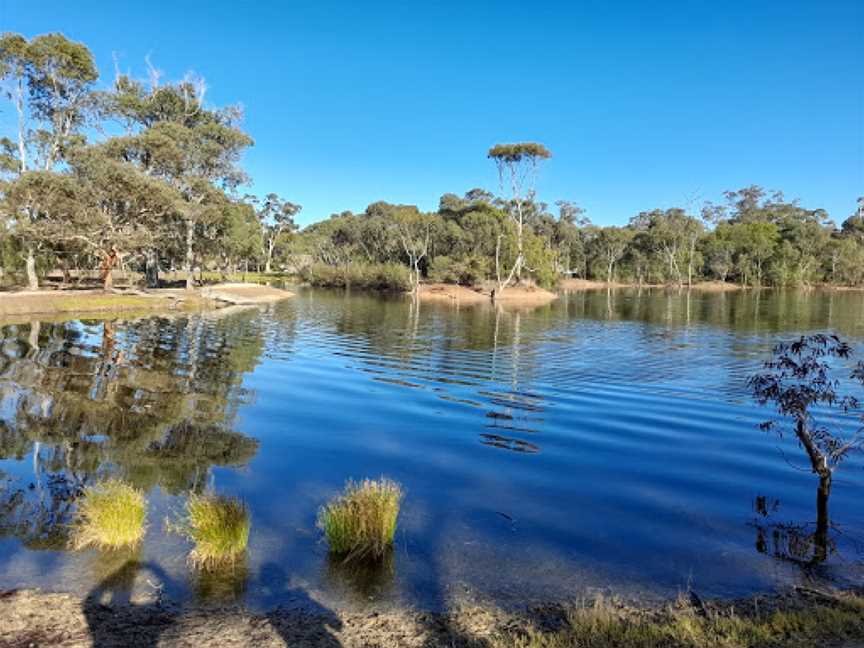 Wudinna Apex Park, Wudinna, SA