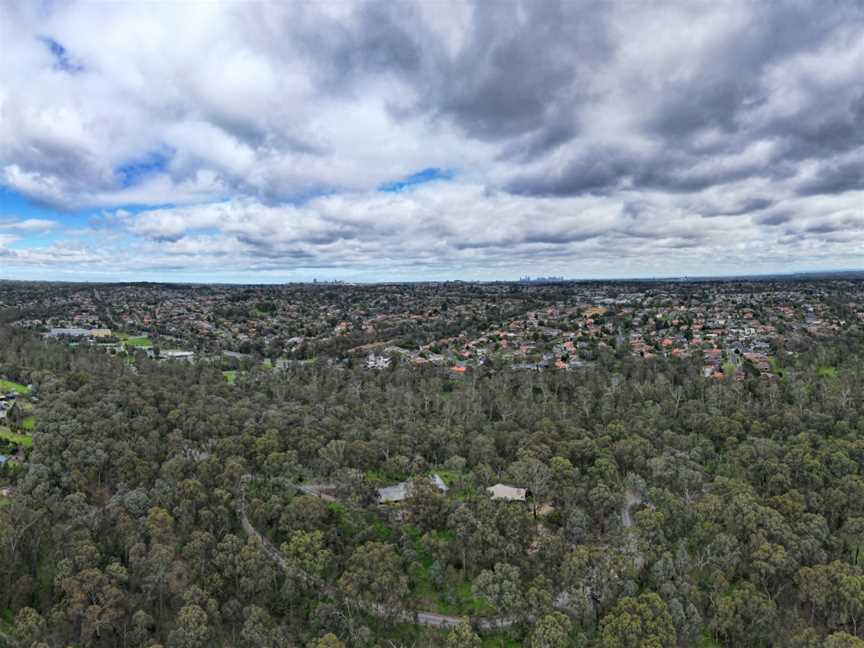 Currawong Bush Park, Doncaster East, VIC