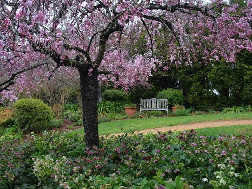 Wildwood Garden, Bilpin, NSW