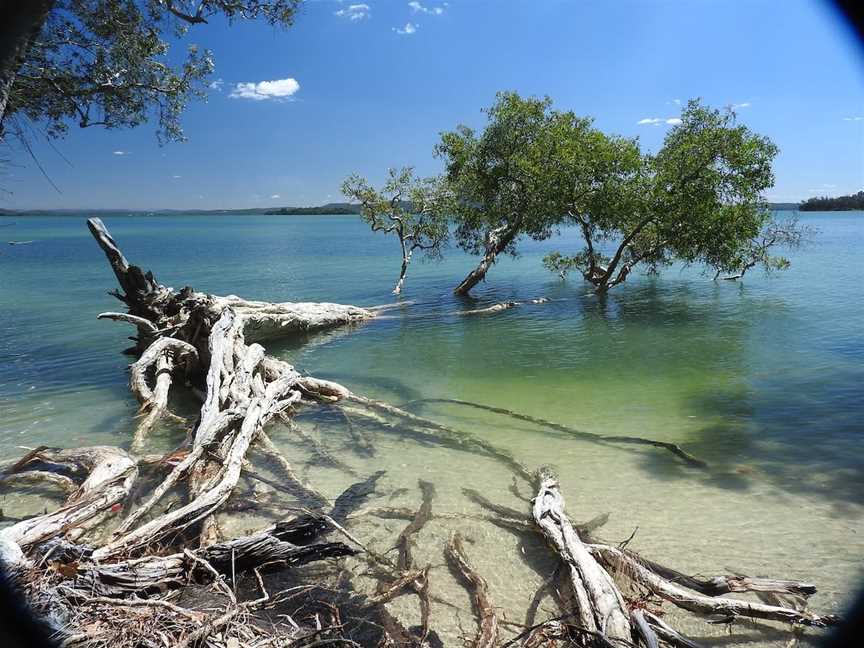 Tilligerry Habitat, Tanilba Bay, NSW