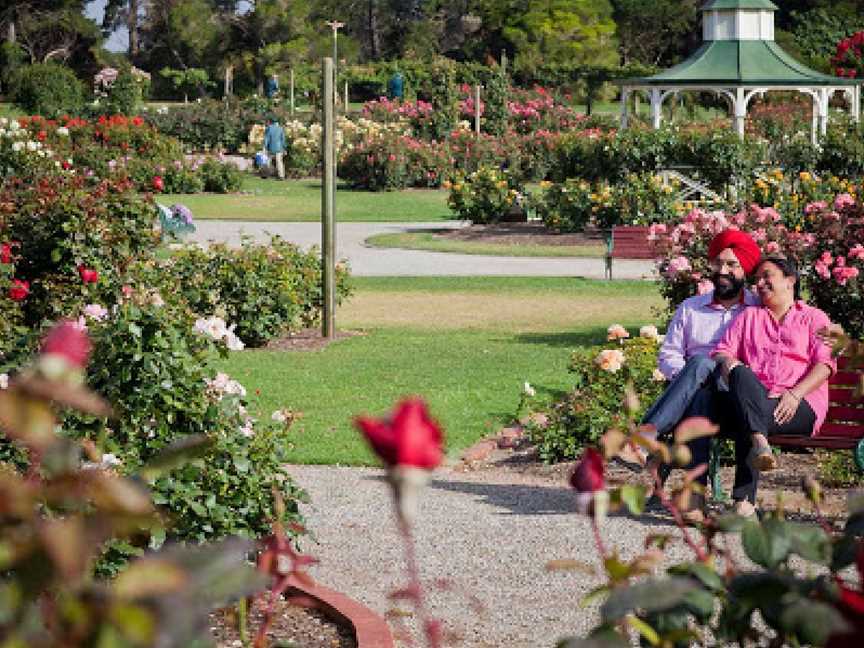 Victoria State Rose Garden at Werribee Park, Werribee South, VIC